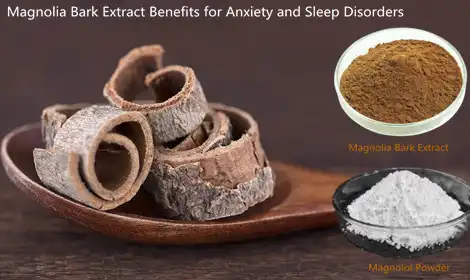 Magnolia Bark Powder Benefits for Anxiety and Sleep Disorders